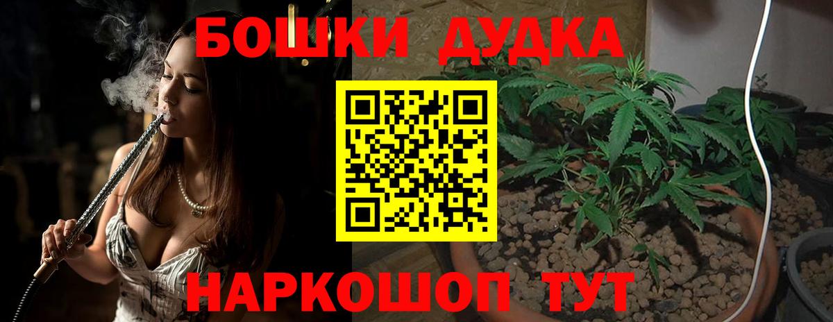 Марихуана планчик  Канабис тримм  Вход с VPN  Грязи  Каннабис Amnesia 